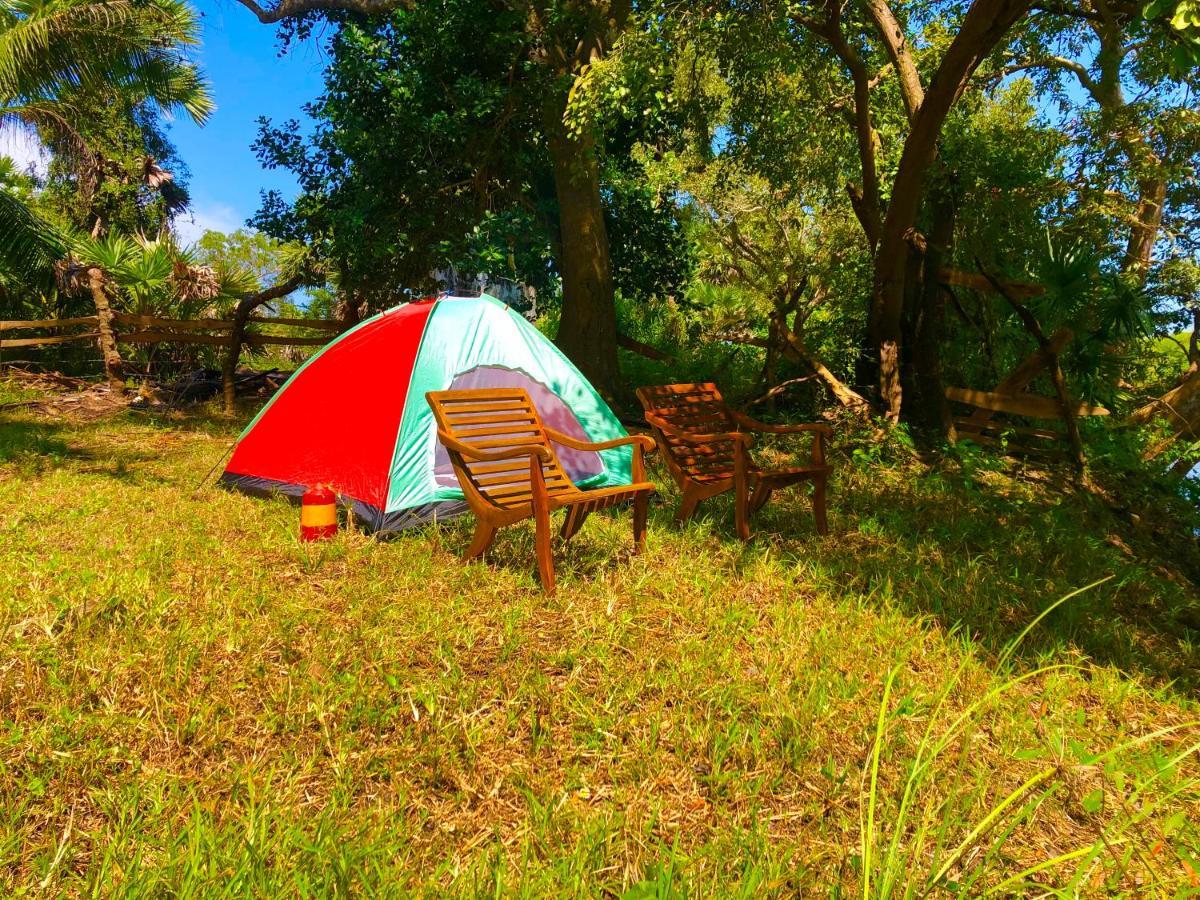 Wilpattu Green Cabin Achchamulai Exterior foto