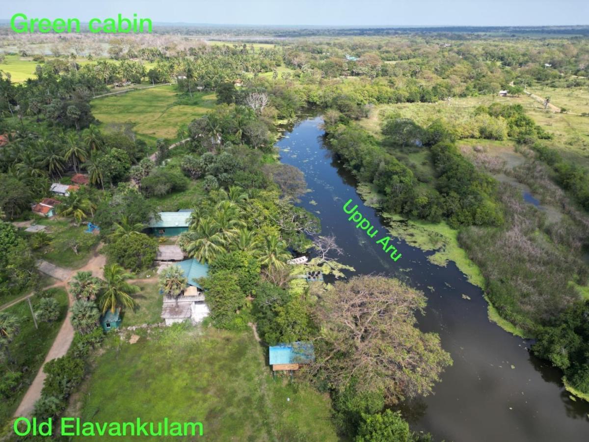 Wilpattu Green Cabin Achchamulai Exterior foto