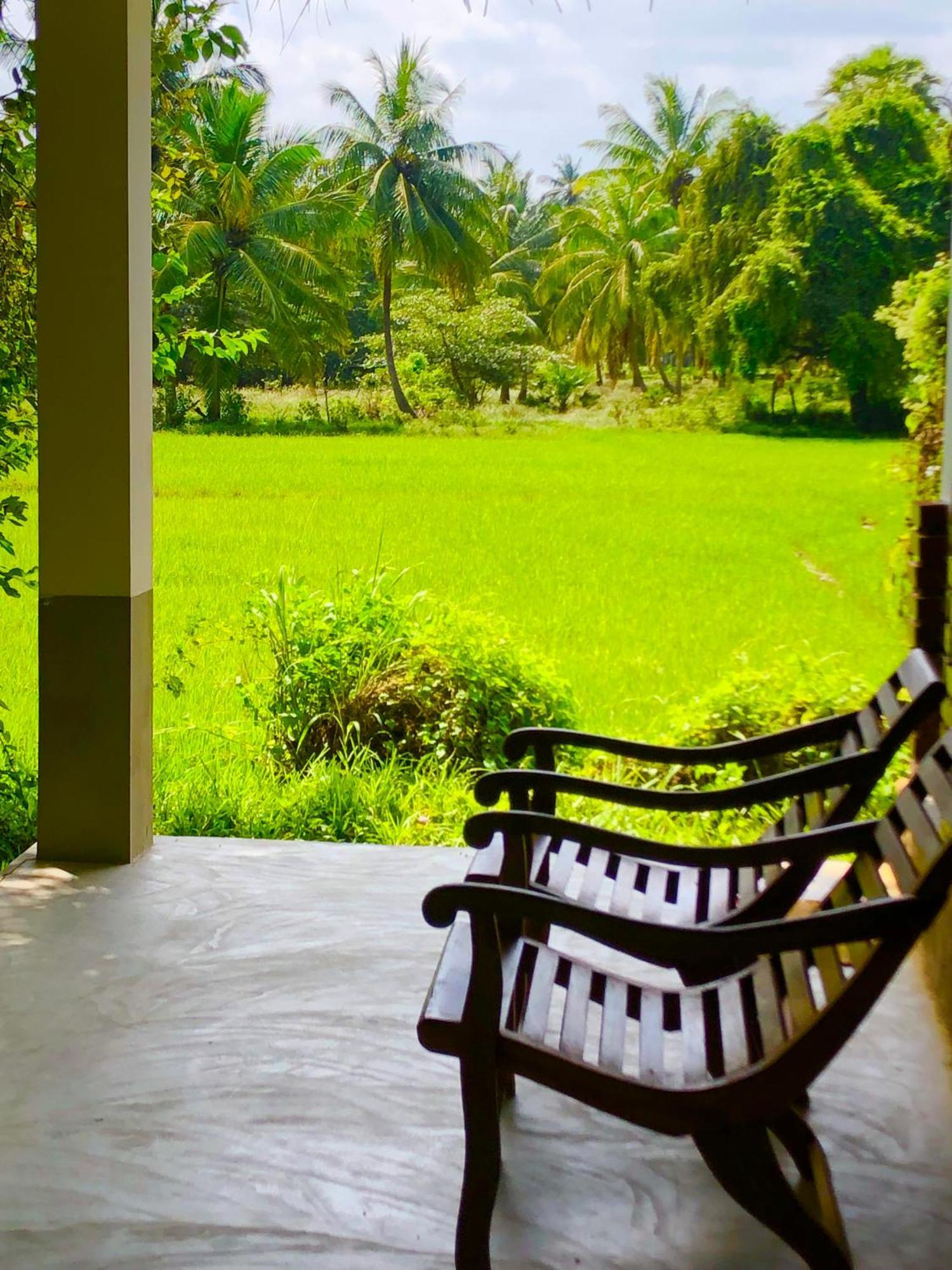 Wilpattu Green Cabin Achchamulai Exterior foto