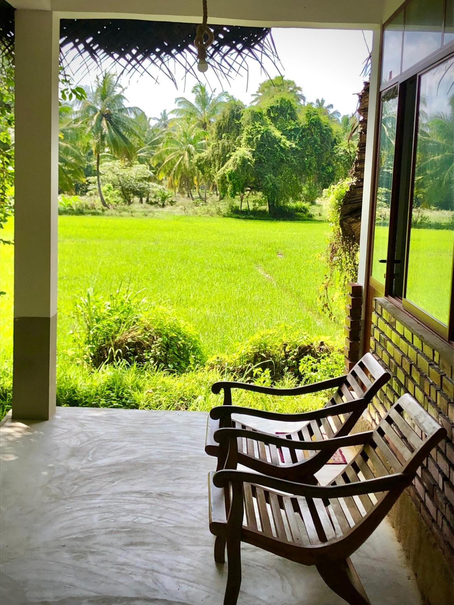 Wilpattu Green Cabin Achchamulai Exterior foto