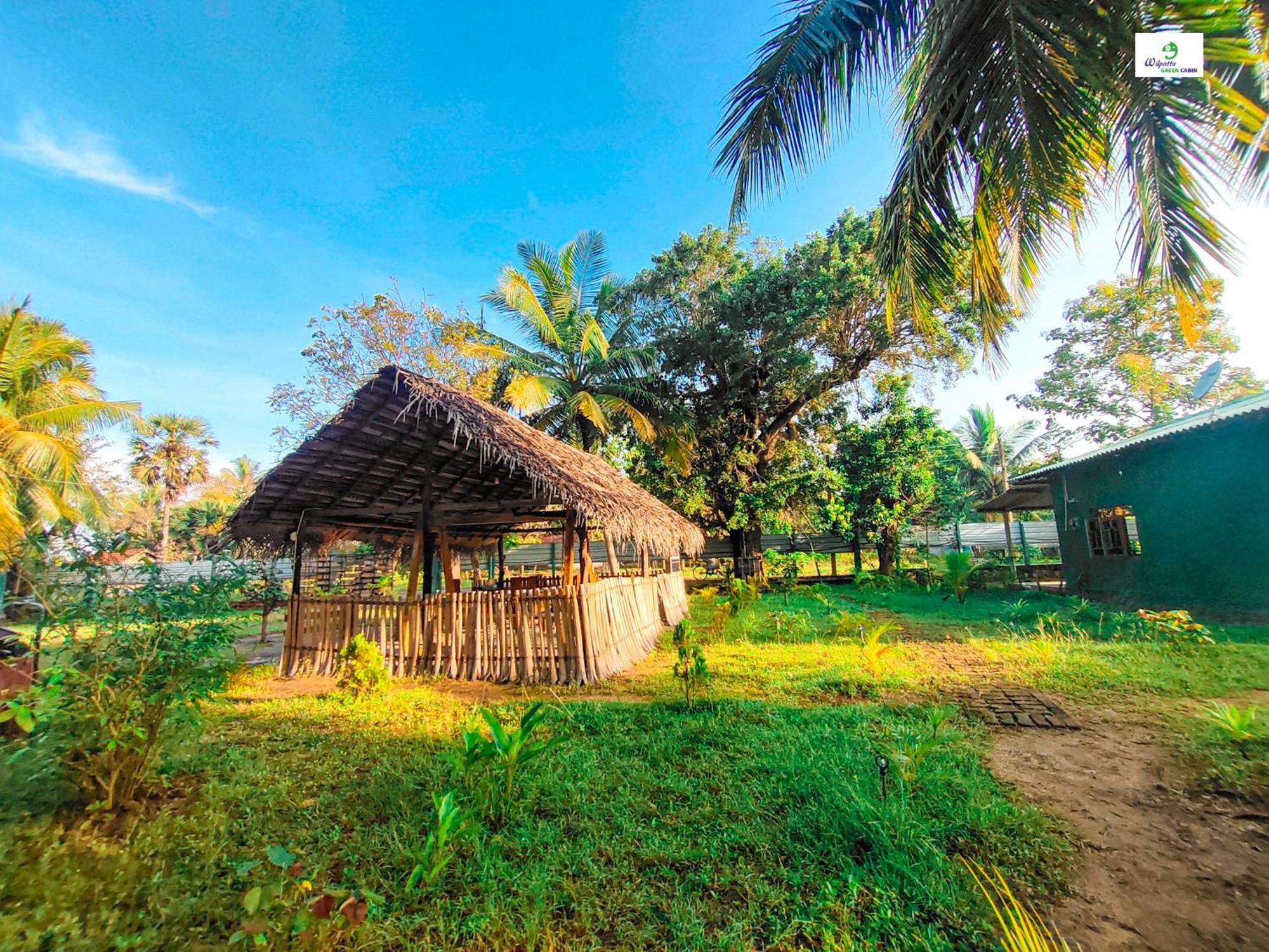 Wilpattu Green Cabin Achchamulai Exterior foto